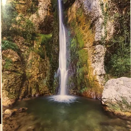 Rosegarden Апартаменты