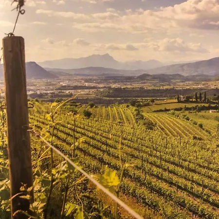 Апартаменты Rosegarden *